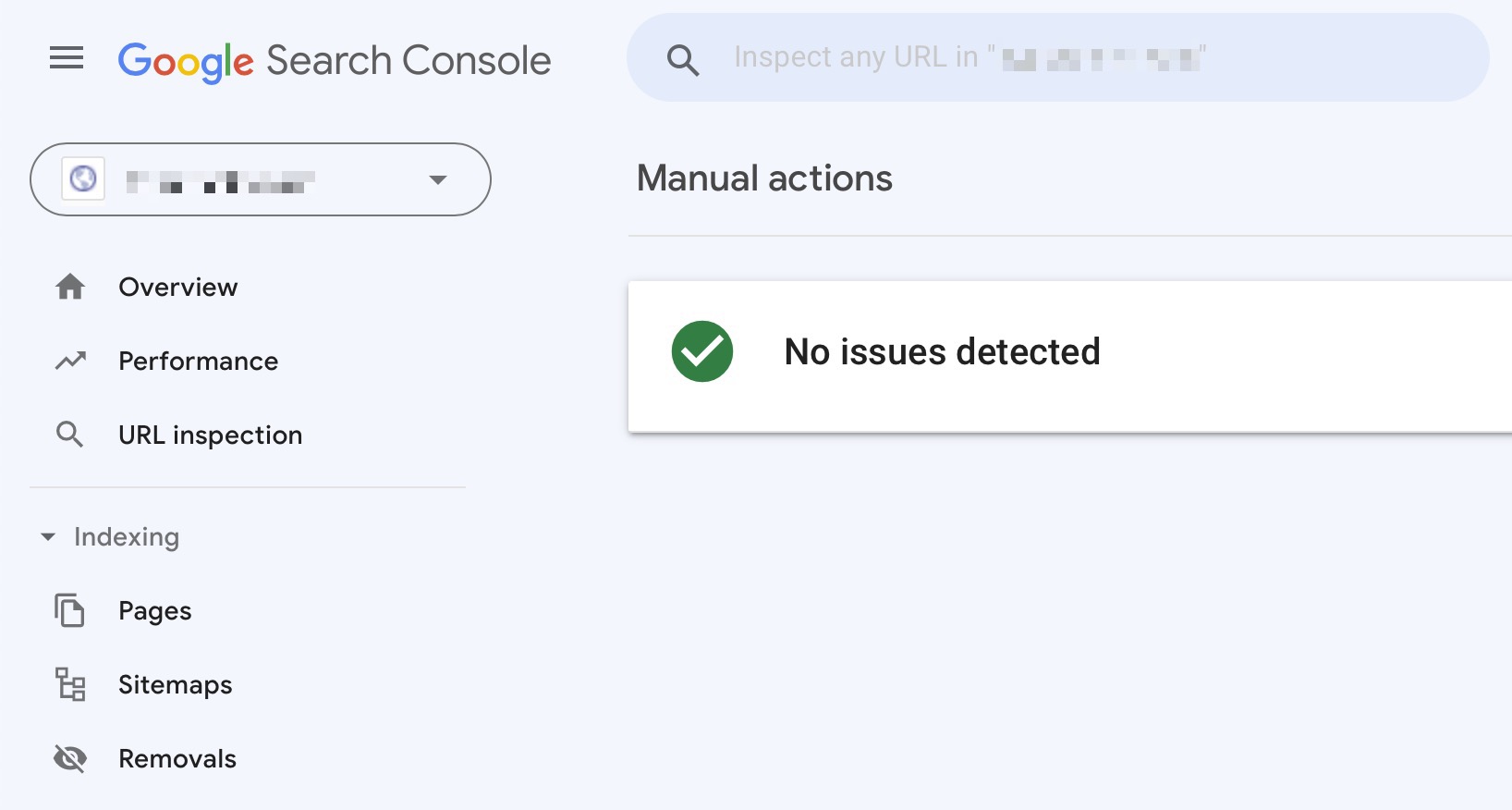 google search console manual action section